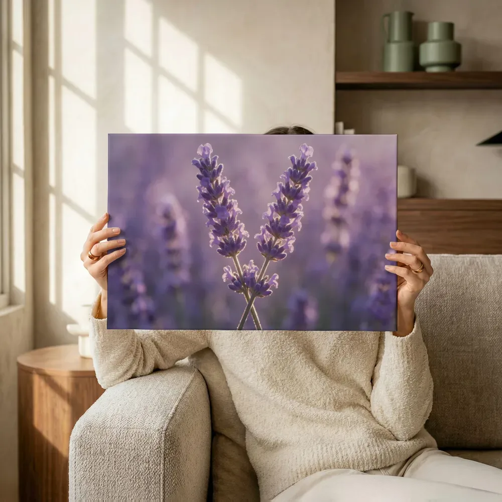 Sfeerimpressie: Lavendel in het gouden uur, zacht violetpaars 9 terwijl het omhoog wordt gehouden