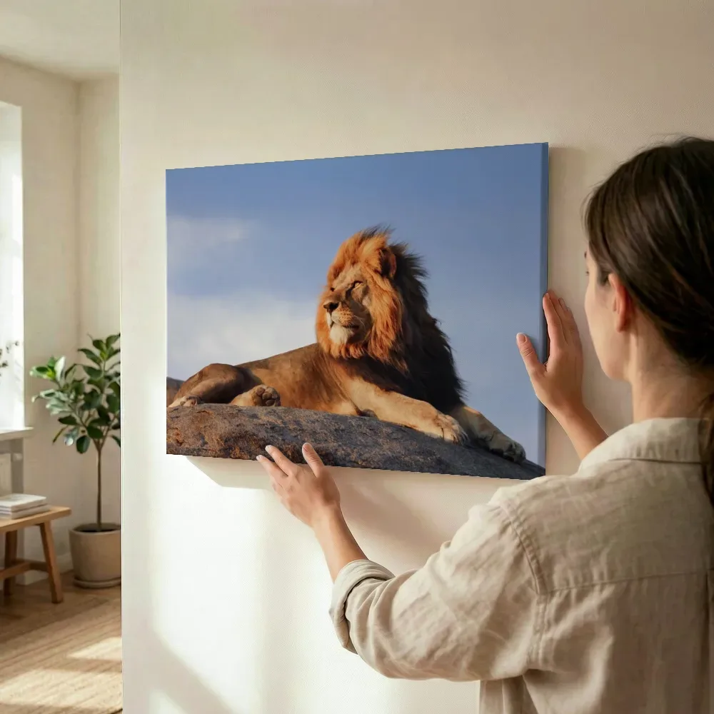 Sfeerimpressie: Leeuw onder blauwe lucht terwijl het wordt opgehangen