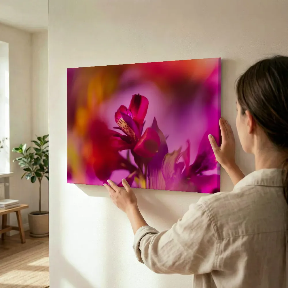 Sfeerimpressie: Magenta bloem in zacht tegenlicht terwijl het wordt opgehangen