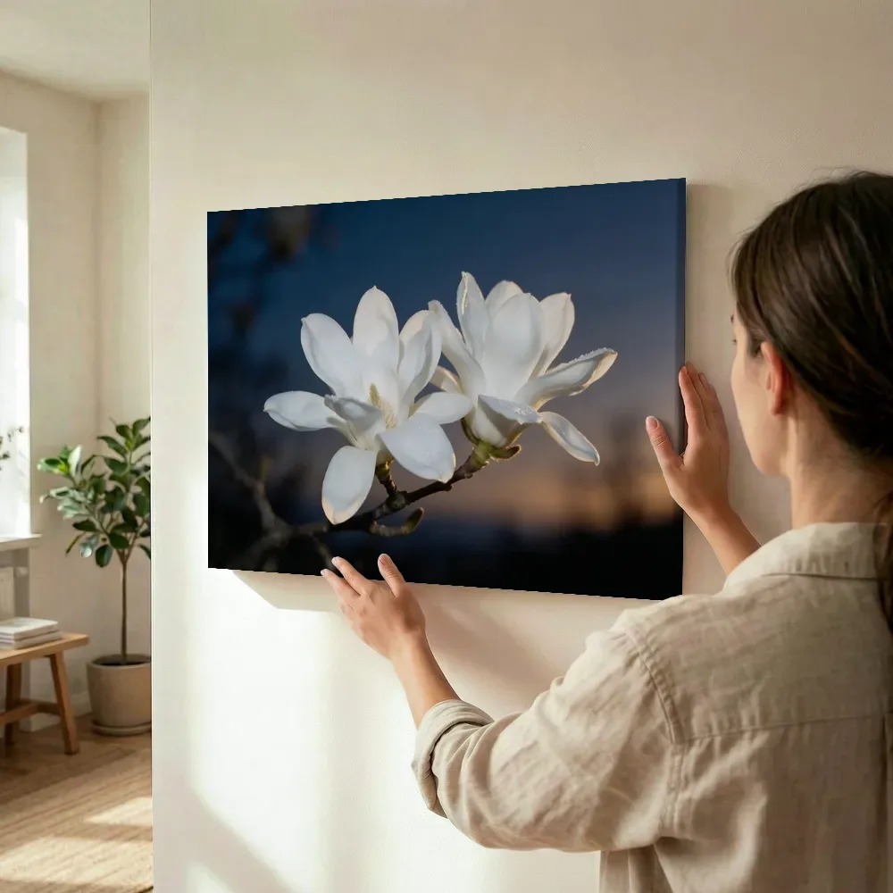 Sfeerimpressie: Magnolia in de schemering, wit 6 terwijl het wordt opgehangen