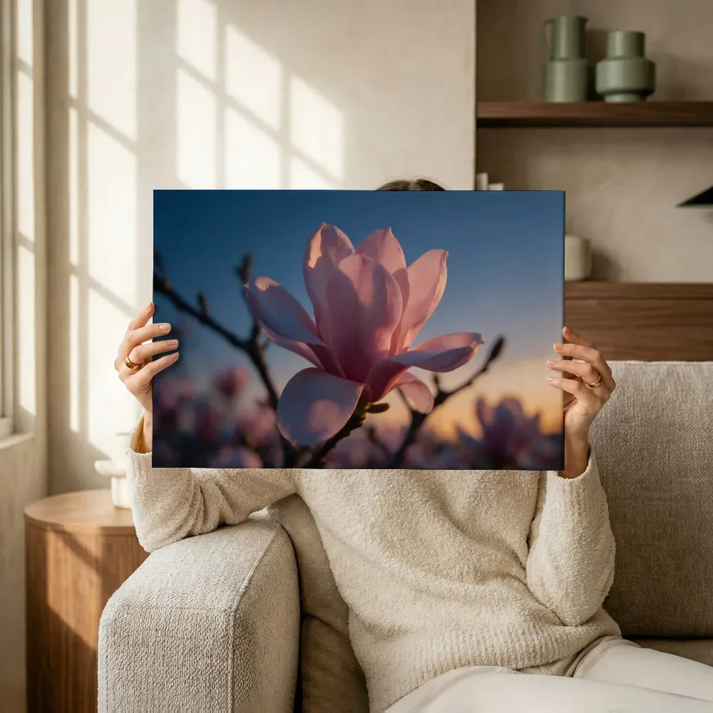 Sfeerimpressie: Magnolia in de schemering, zachtroze 3 terwijl het omhoog wordt gehouden