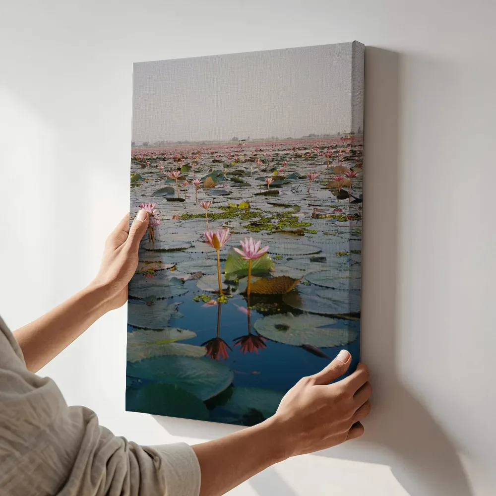 Sfeerimpressie: Meer vol roze lotusbloemen terwijl het aan de muur wordt gehangen
