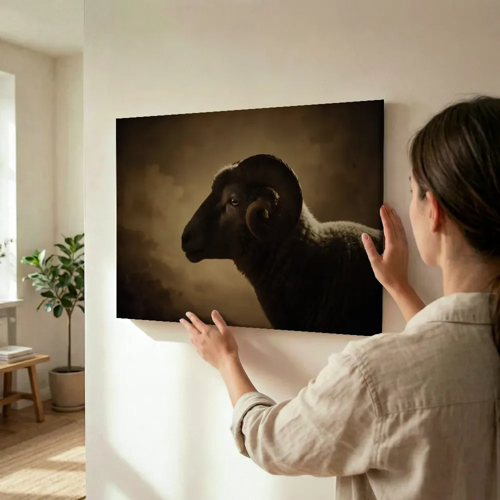 Sfeerimpressie: Merino en profil in sepia terwijl het wordt opgehangen
