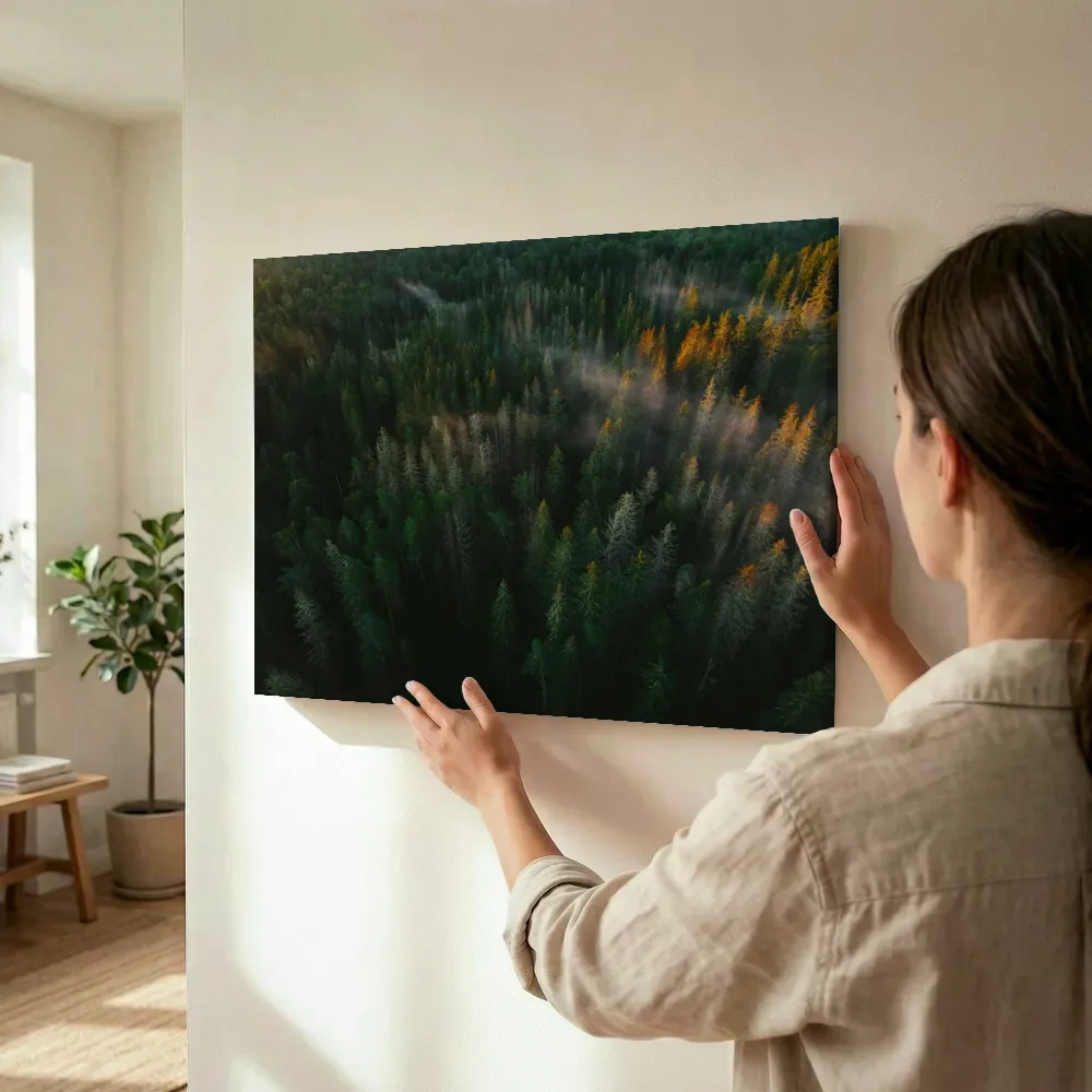 Sfeerimpressie: Ochtendnevel over het bos terwijl het wordt opgehangen