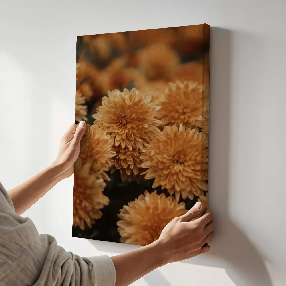 Sfeerimpressie: Oranje chrysanten in close-up terwijl het aan de muur wordt gehangen