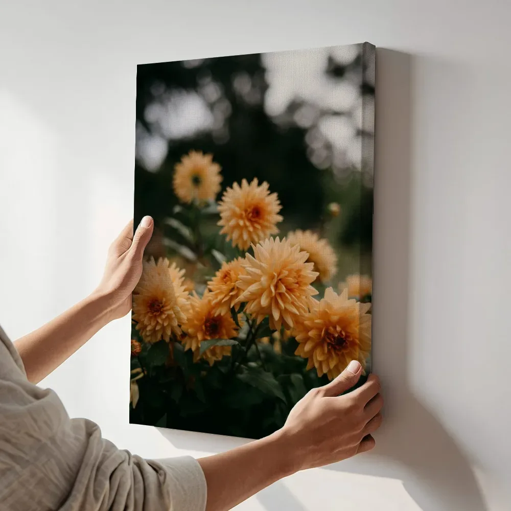 Sfeerimpressie: Oranje dahlia's in close-up terwijl het aan de muur wordt gehangen