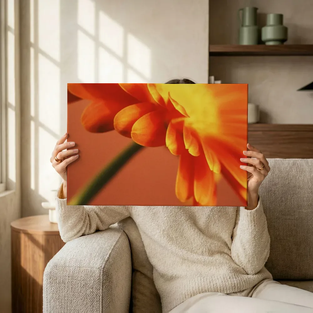 Sfeerimpressie: Oranje gerbera in close-up terwijl het omhoog wordt gehouden