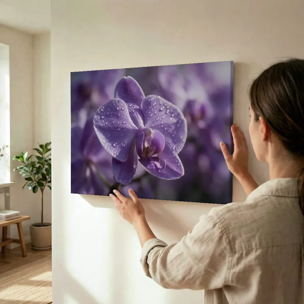 Sfeerimpressie: Orchidee in dauw, glinsterlicht, zachtpaars terwijl het wordt opgehangen