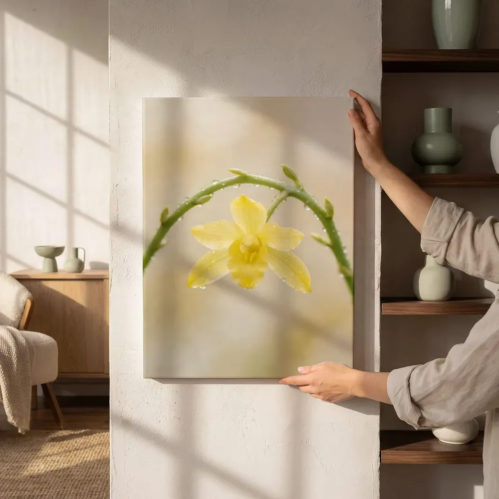 Sfeerimpressie: Orchidee in na de regen, bleekgeel 2 naast de kast