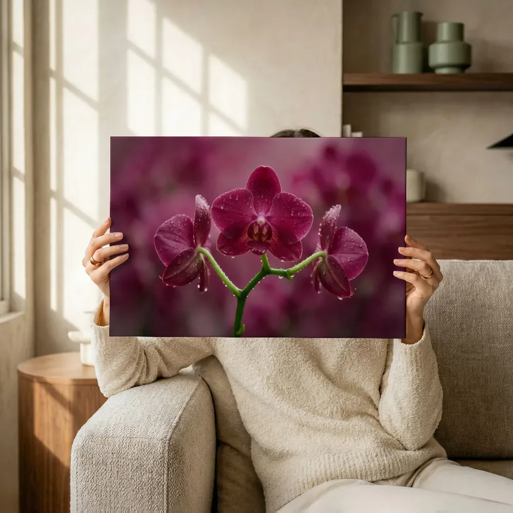 Sfeerimpressie: Orchidee in na de regen, dieproze 4 terwijl het omhoog wordt gehouden