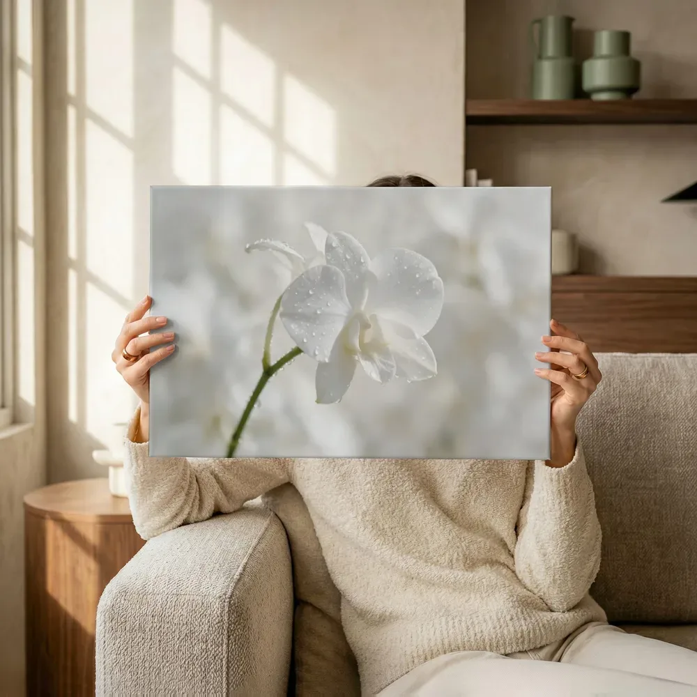 Sfeerimpressie: Orchidee in na de regen, wit 4 terwijl het omhoog wordt gehouden