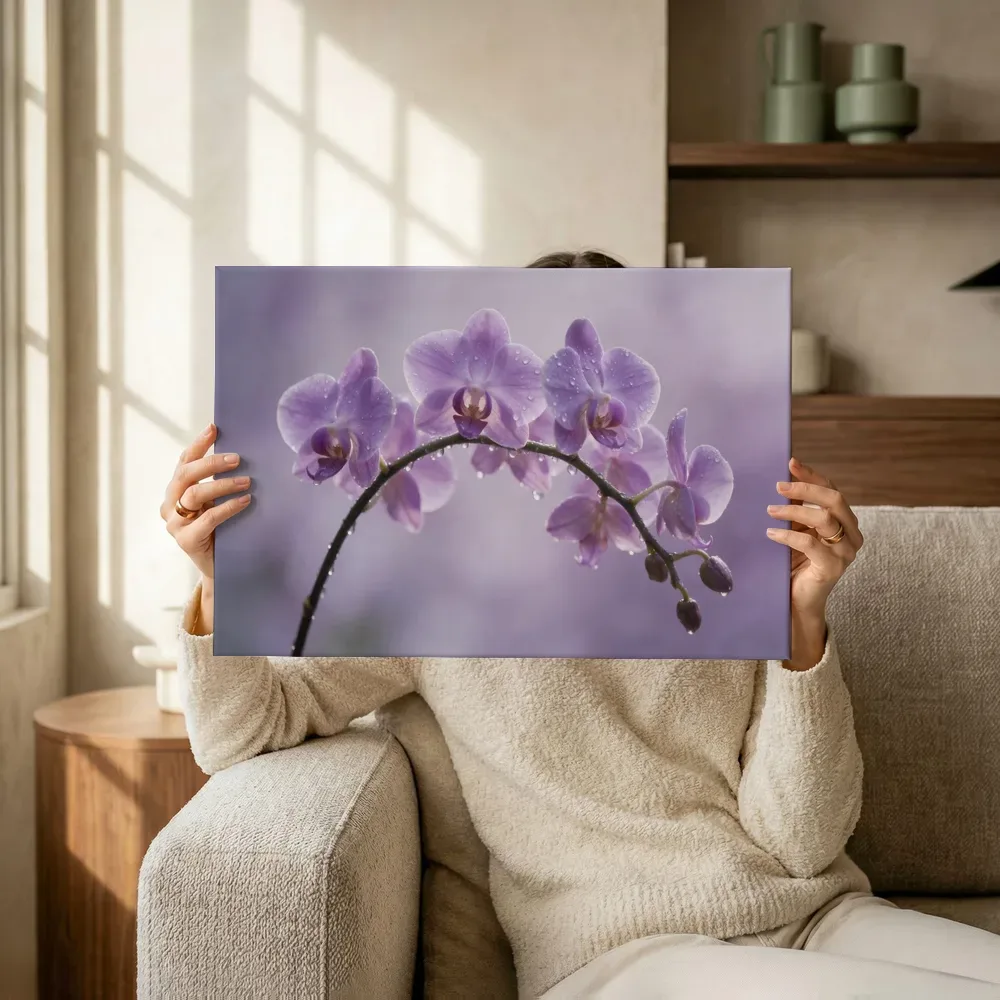 Sfeerimpressie: Orchidee in na de regen, zachtpaars 3 terwijl het omhoog wordt gehouden
