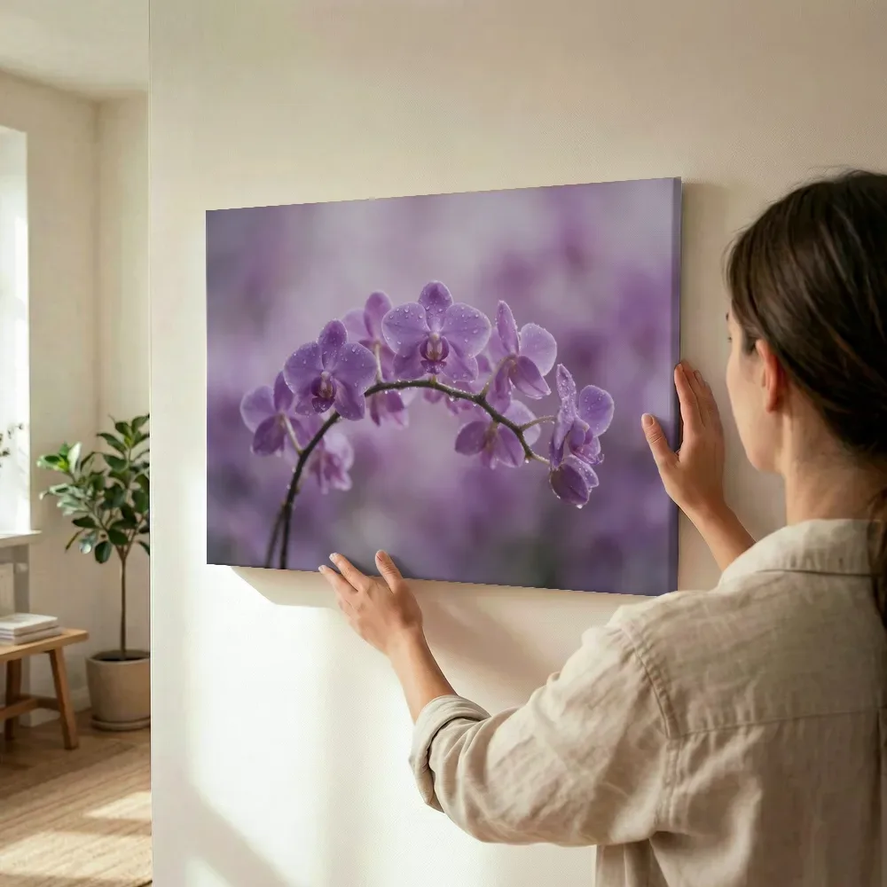 Sfeerimpressie: Orchidee in na de regen, zachtpaars 4 terwijl het wordt opgehangen