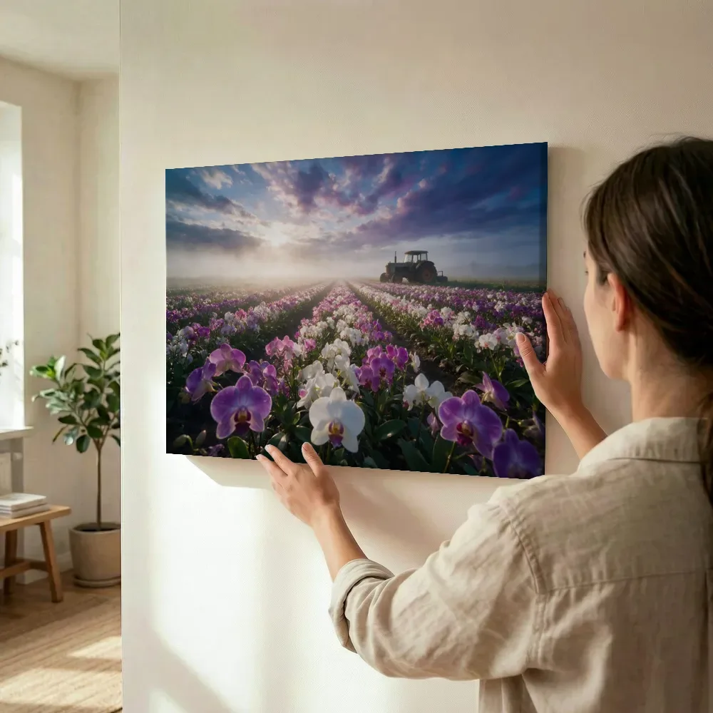 Sfeerimpressie: Orchideeën bij de ochtendmist 2 terwijl het wordt opgehangen