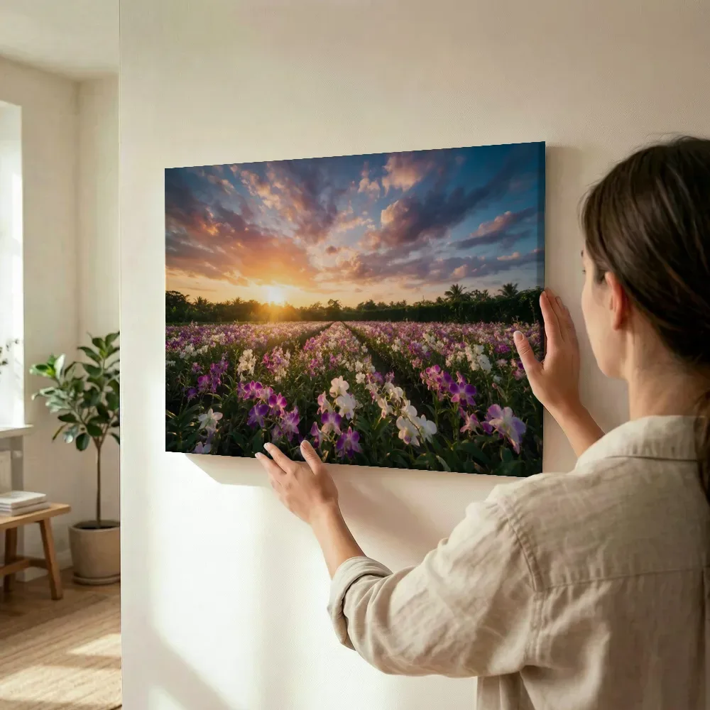 Sfeerimpressie: Orchideeën bij het gouden uur 5 terwijl het wordt opgehangen