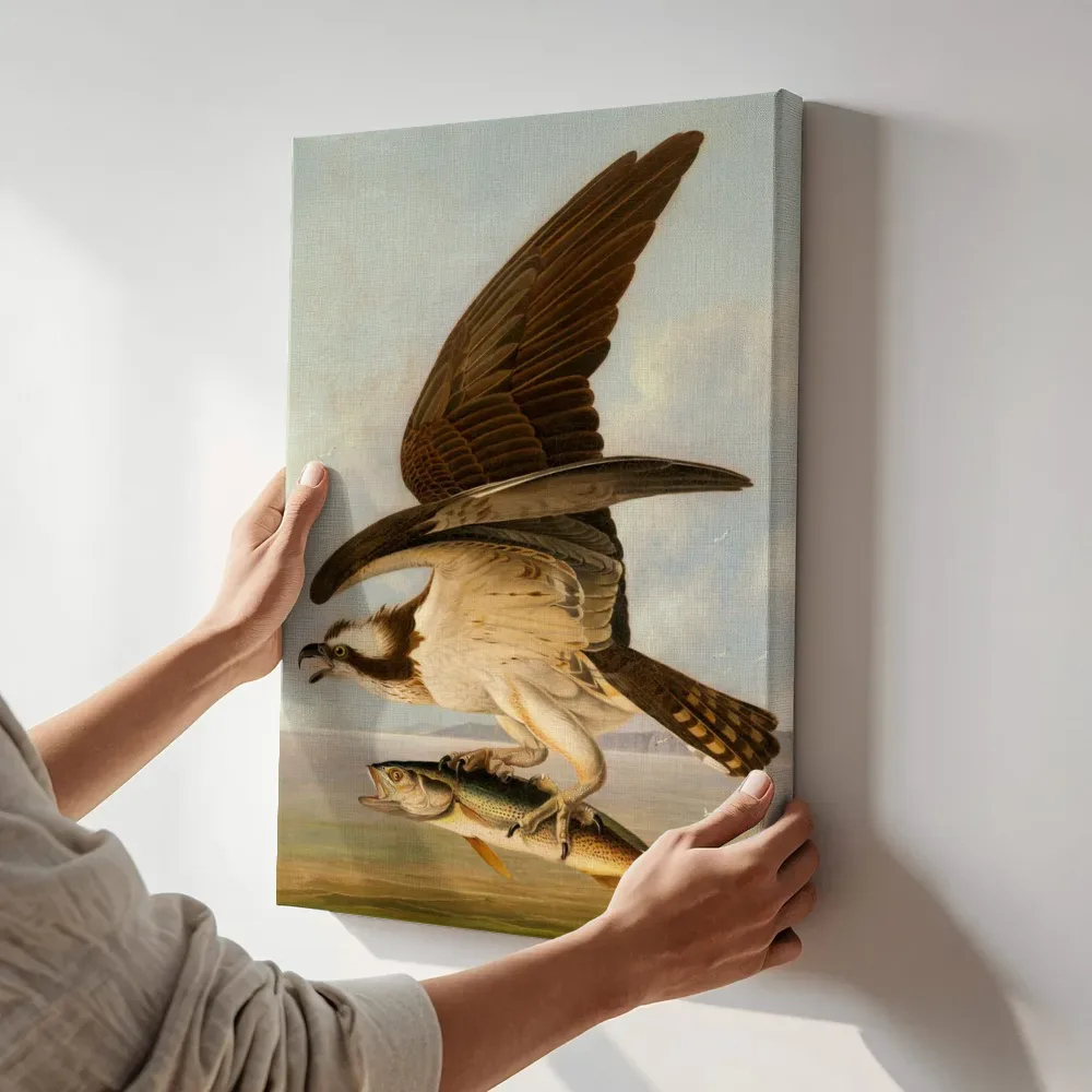 Sfeerimpressie: Visarend en ombervis van John James Audubon terwijl het aan de muur wordt gehangen