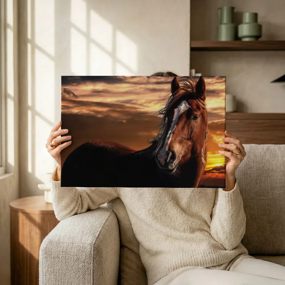 Sfeerimpressie: Paard bij zonsondergang terwijl het omhoog wordt gehouden