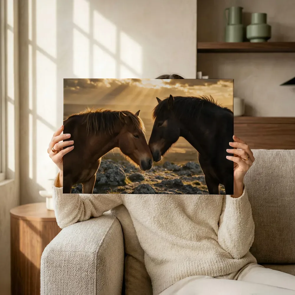 Sfeerimpressie: Paard een teder moment, lichtbundels door de wolken terwijl het omhoog wordt gehouden