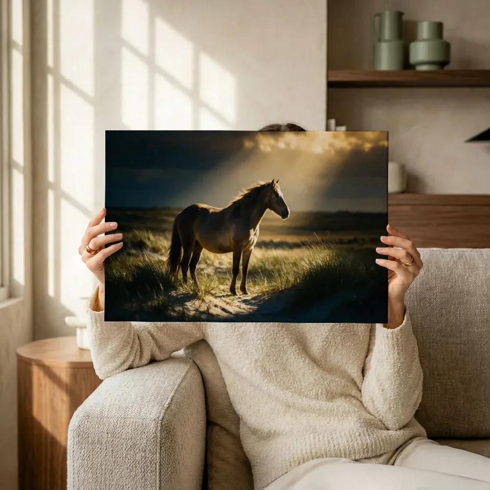 Sfeerimpressie: Paard en profil, een enkele lichtbundel als een spotlicht terwijl het omhoog wordt gehouden