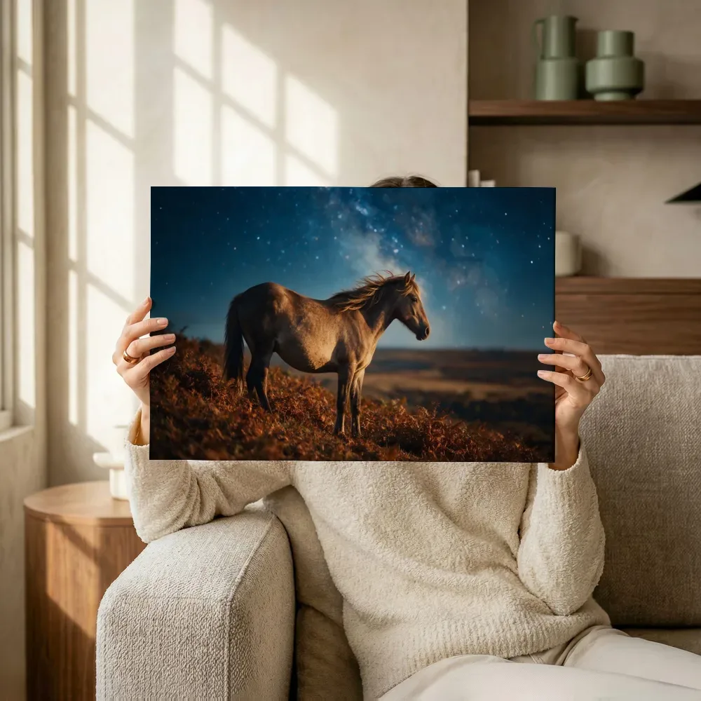 Sfeerimpressie: Paard en profil, een heldere sterrenhemel terwijl het omhoog wordt gehouden