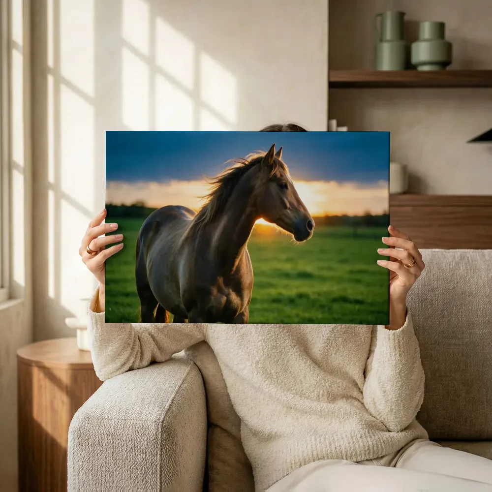 Sfeerimpressie: Paard en profil, het felle tegenlicht van de ondergaande zon terwijl het omhoog wordt gehouden