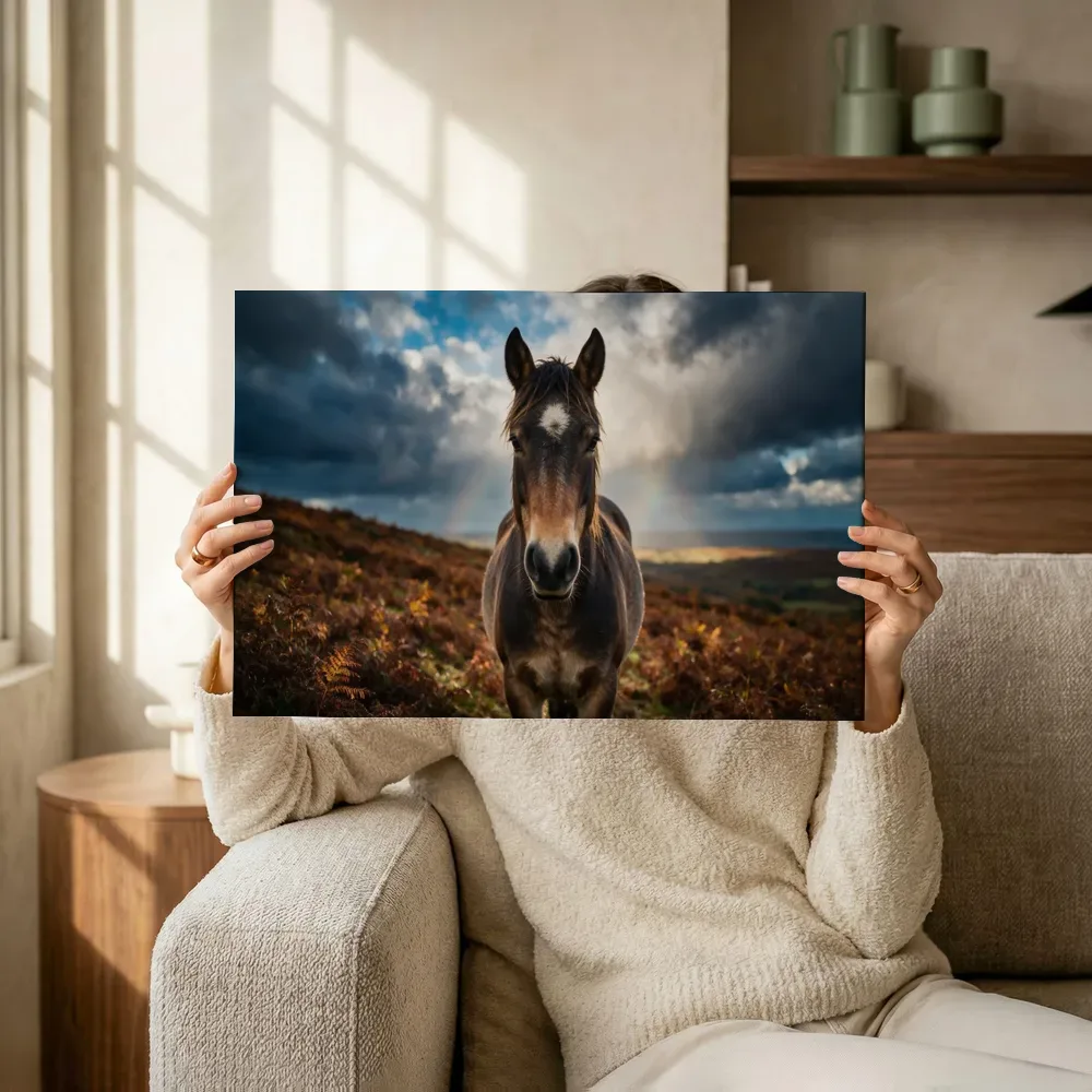Sfeerimpressie: Paard frontaal, een fris moment na de regen terwijl het omhoog wordt gehouden