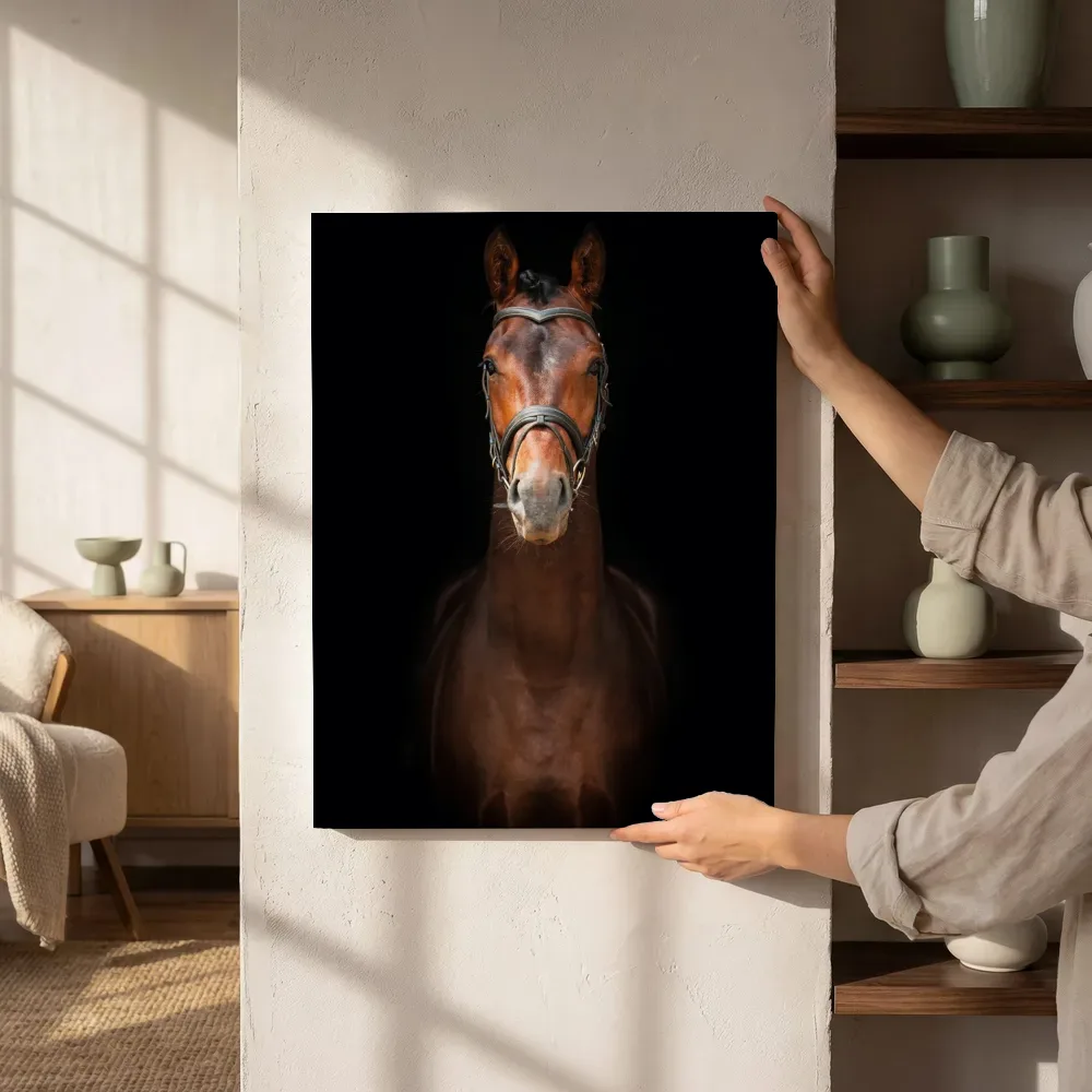 Sfeerimpressie: Paard frontaal portret naast de kast