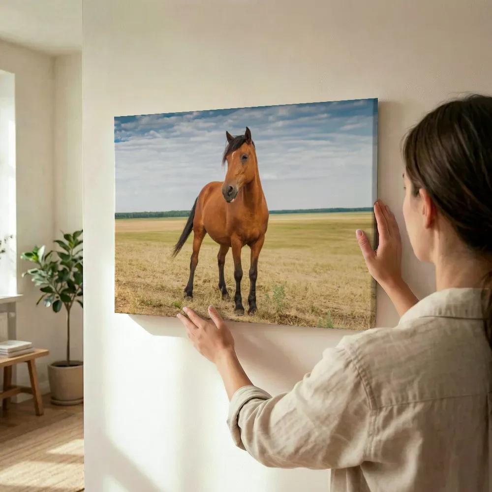 Sfeerimpressie: Paard in droog grasland onder wolkenlucht terwijl het wordt opgehangen