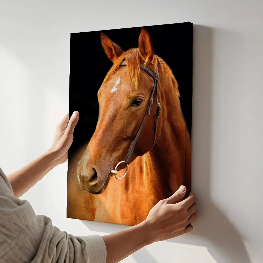 Sfeerimpressie: Paard in gouden licht terwijl het aan de muur wordt gehangen