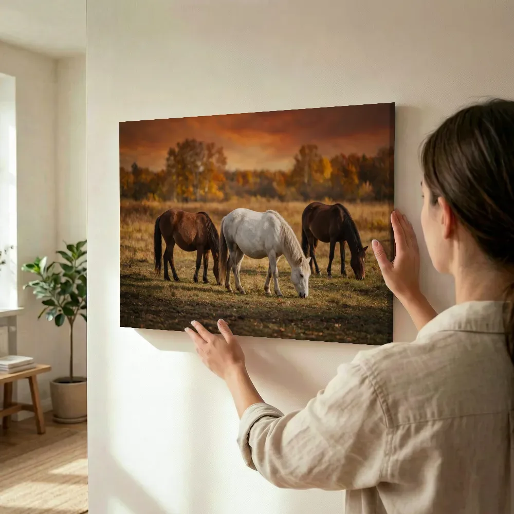 Sfeerimpressie: Paard in het veld, volle herfstkleuren terwijl het wordt opgehangen