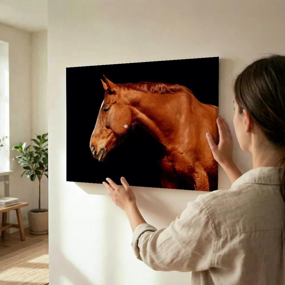 Sfeerimpressie: Paard in profiel tegen zwart terwijl het wordt opgehangen