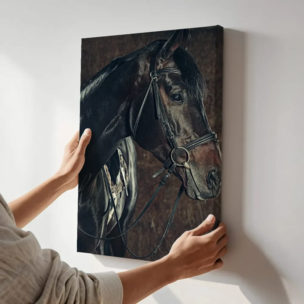 Sfeerimpressie: Paard in de stal terwijl het aan de muur wordt gehangen