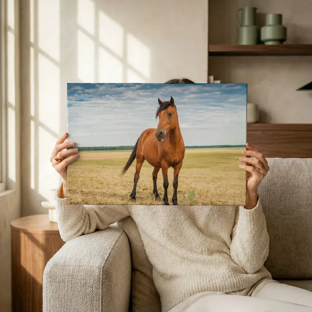 Sfeerimpressie: Paard in het veld terwijl het omhoog wordt gehouden