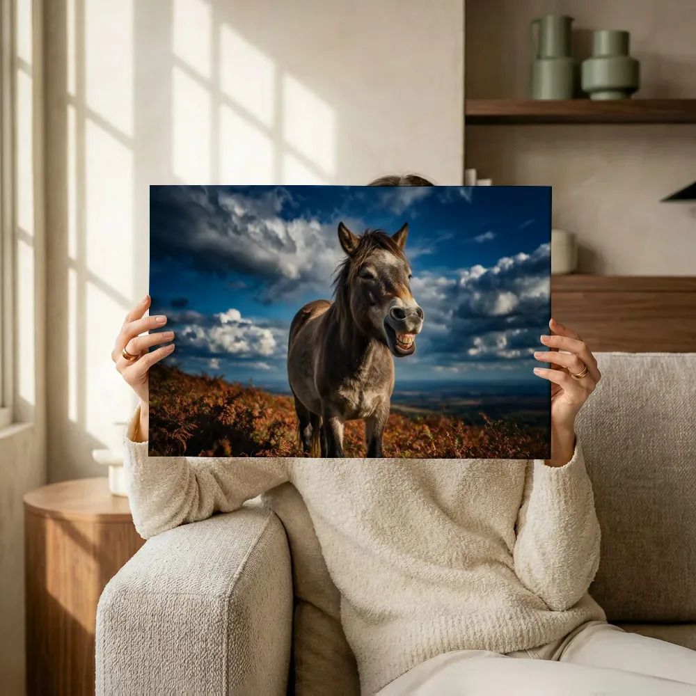 Sfeerimpressie: Paard lachend, een dramatische blauwe lucht terwijl het omhoog wordt gehouden