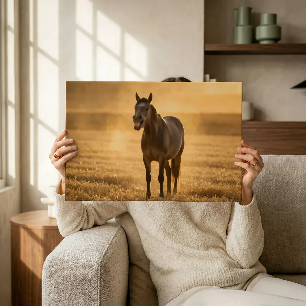 Sfeerimpressie: Paard lachend, een gouden namiddagzon terwijl het omhoog wordt gehouden