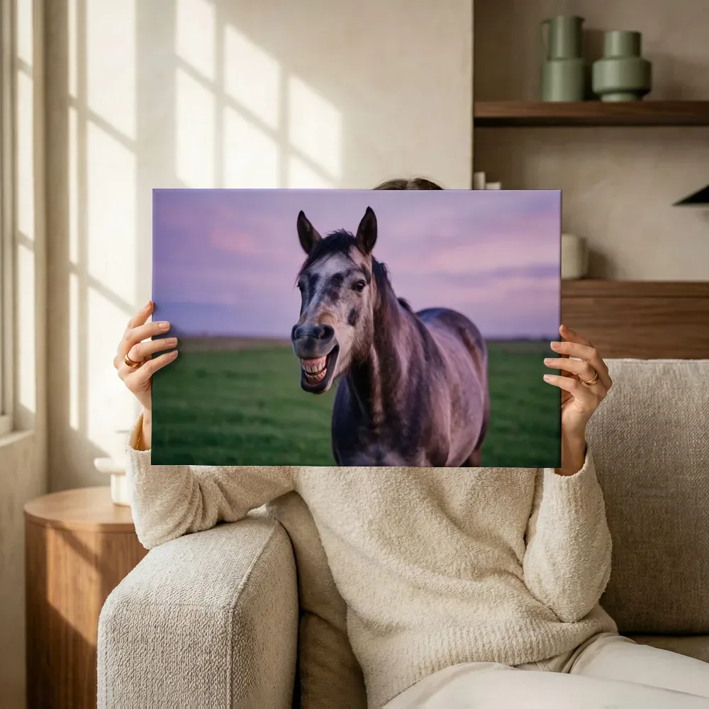 Sfeerimpressie: Paard lachend, een roze-paarse schemering terwijl het omhoog wordt gehouden