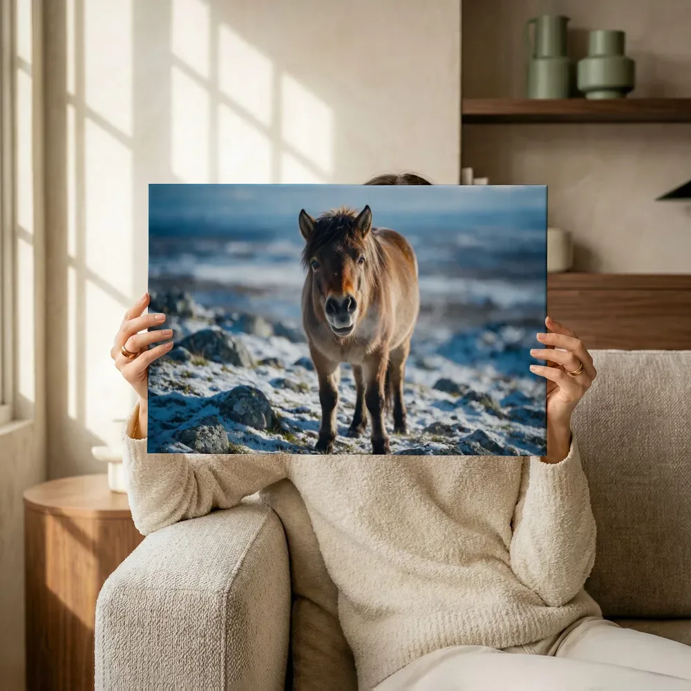 Sfeerimpressie: Paard nieuwsgierig, een dun laagje sneeuw terwijl het omhoog wordt gehouden