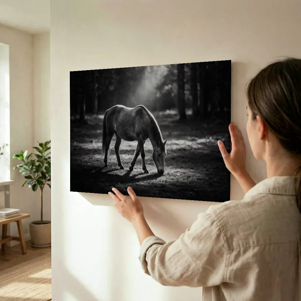 Sfeerimpressie: Paard op afstand, een enkele lichtbundel als een spotlicht terwijl het wordt opgehangen