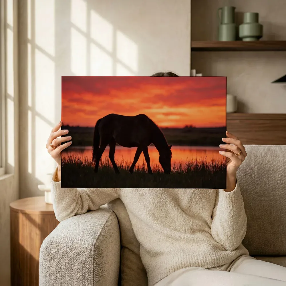 Sfeerimpressie: Paard op afstand, een silhouet tegen een vurige zonsondergang terwijl het omhoog wordt gehouden