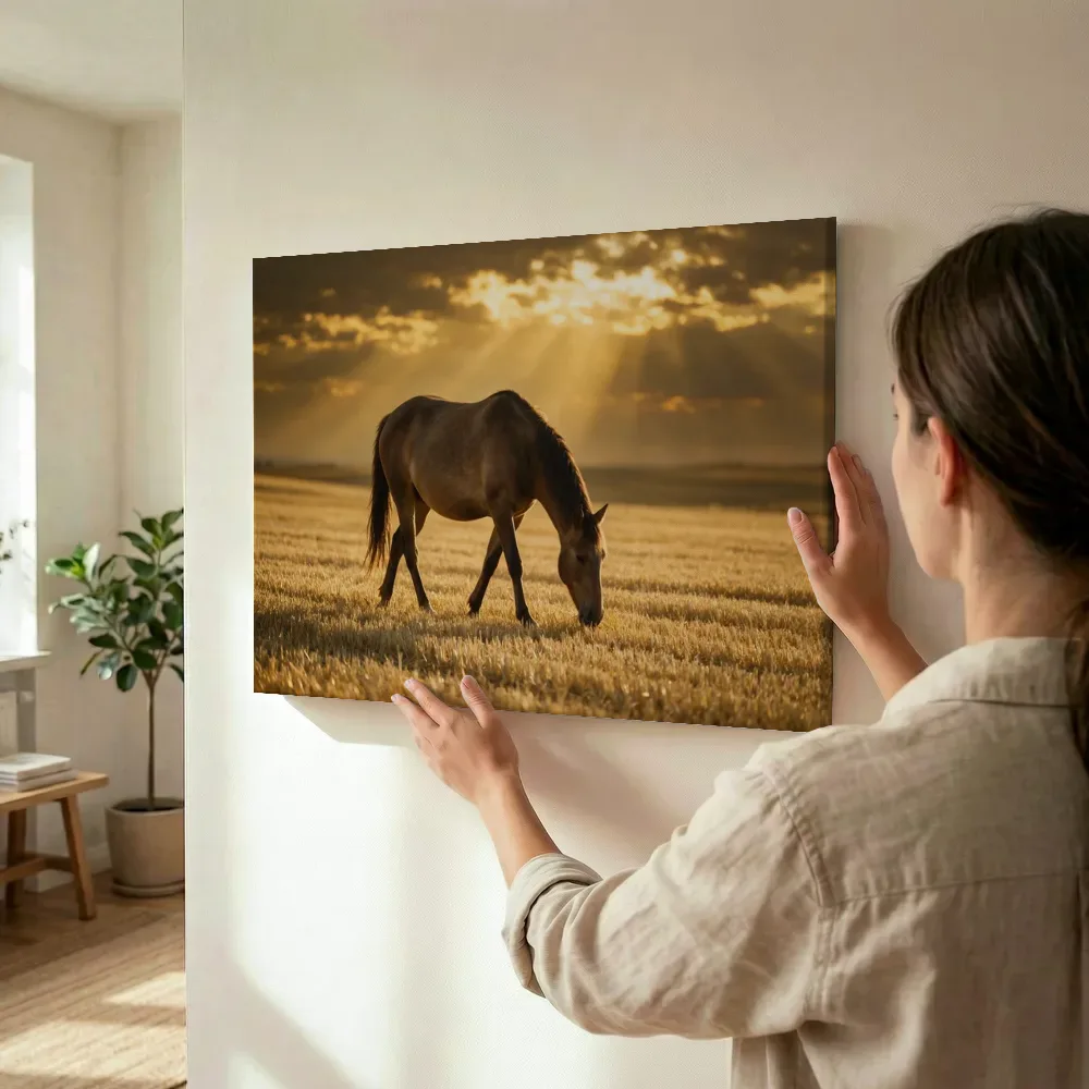 Sfeerimpressie: Paard op afstand, lichtbundels door de wolken terwijl het wordt opgehangen