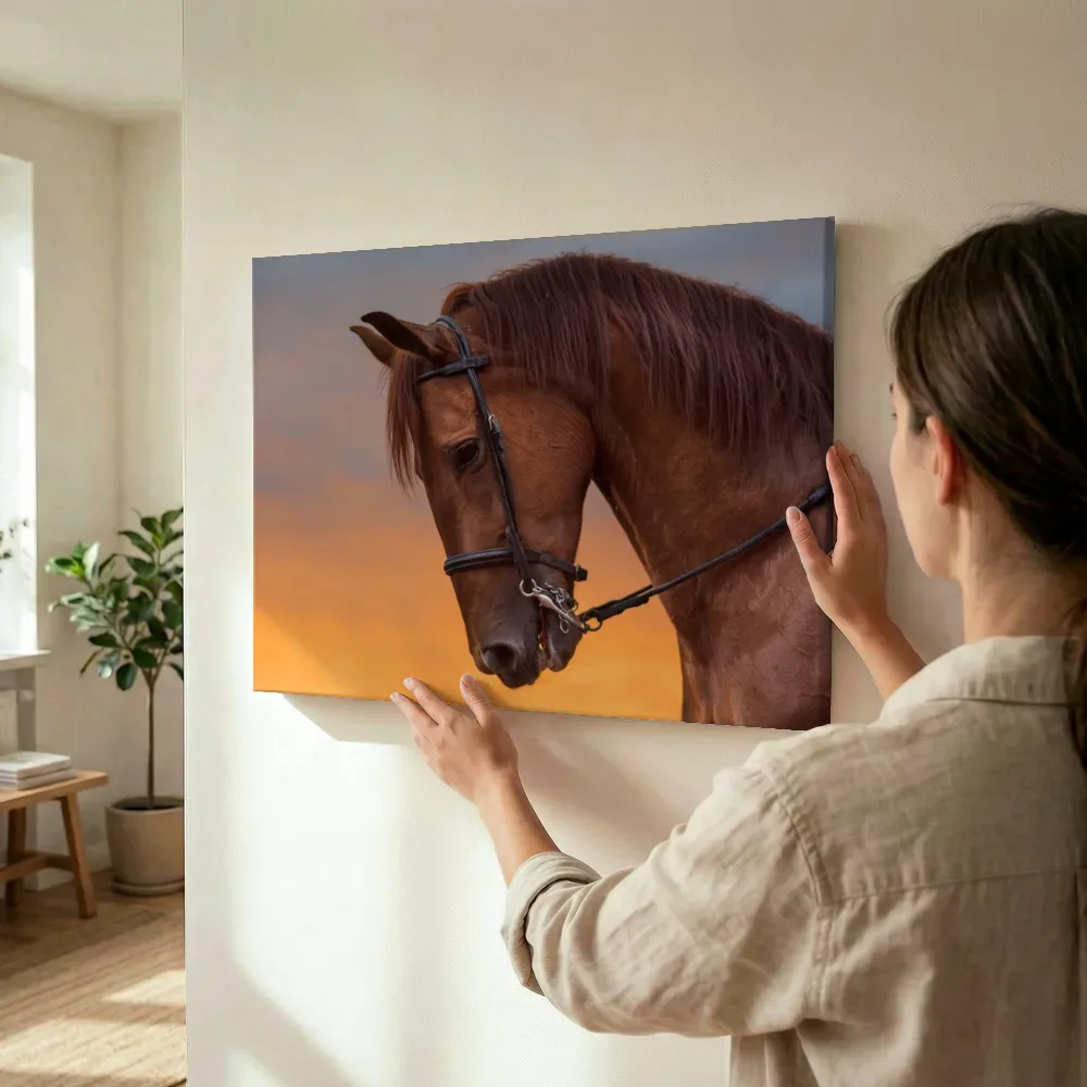 Sfeerimpressie: Paard in oranje avondlicht terwijl het wordt opgehangen