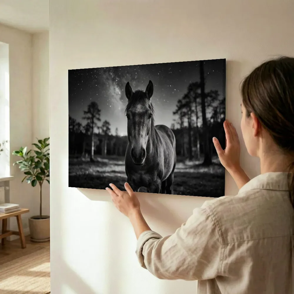 Sfeerimpressie: Paard recht in de lens, een heldere sterrenhemel terwijl het wordt opgehangen