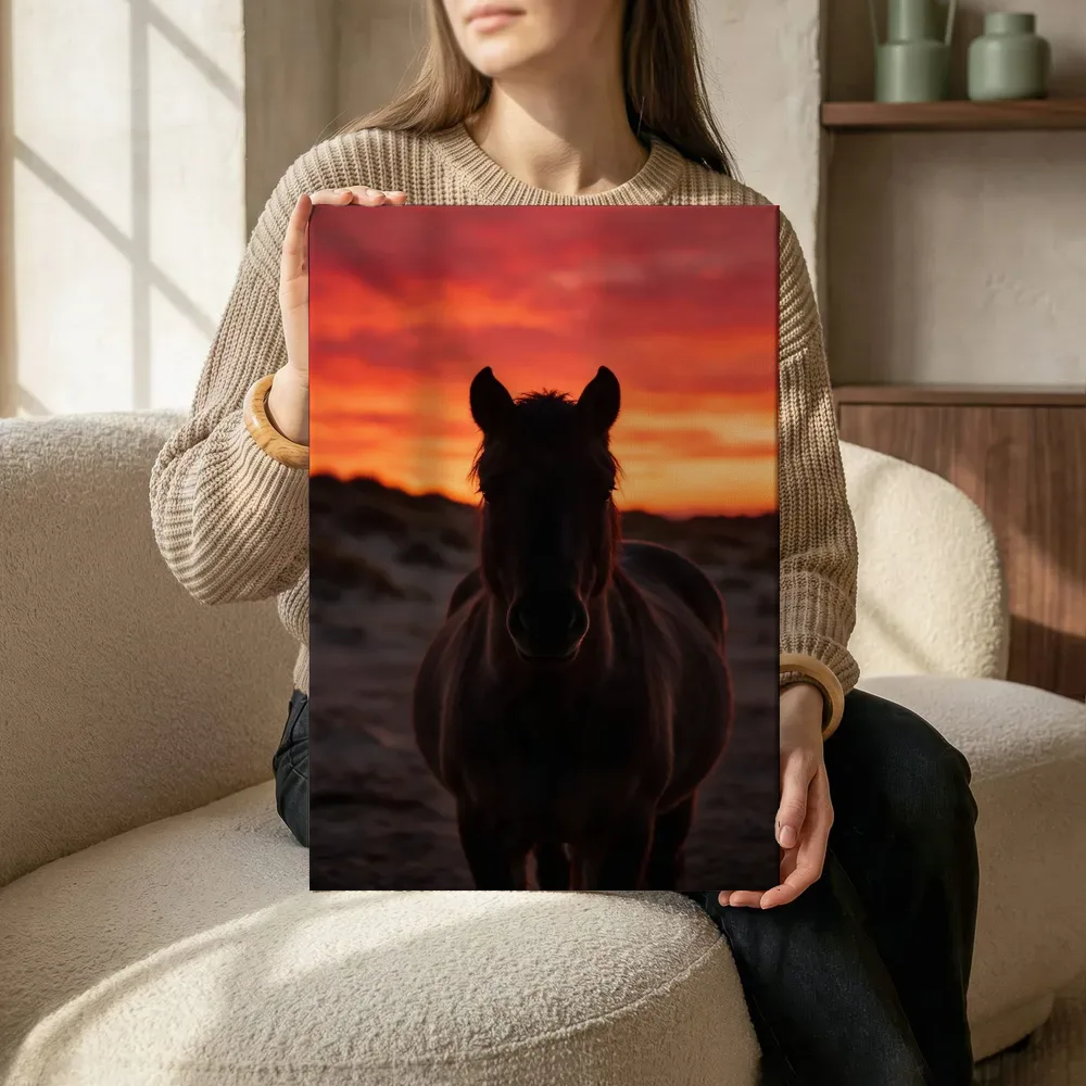 Sfeerimpressie: Paard recht in de lens, een silhouet tegen een vurige zonsondergang terwijl het zittend wordt getoond