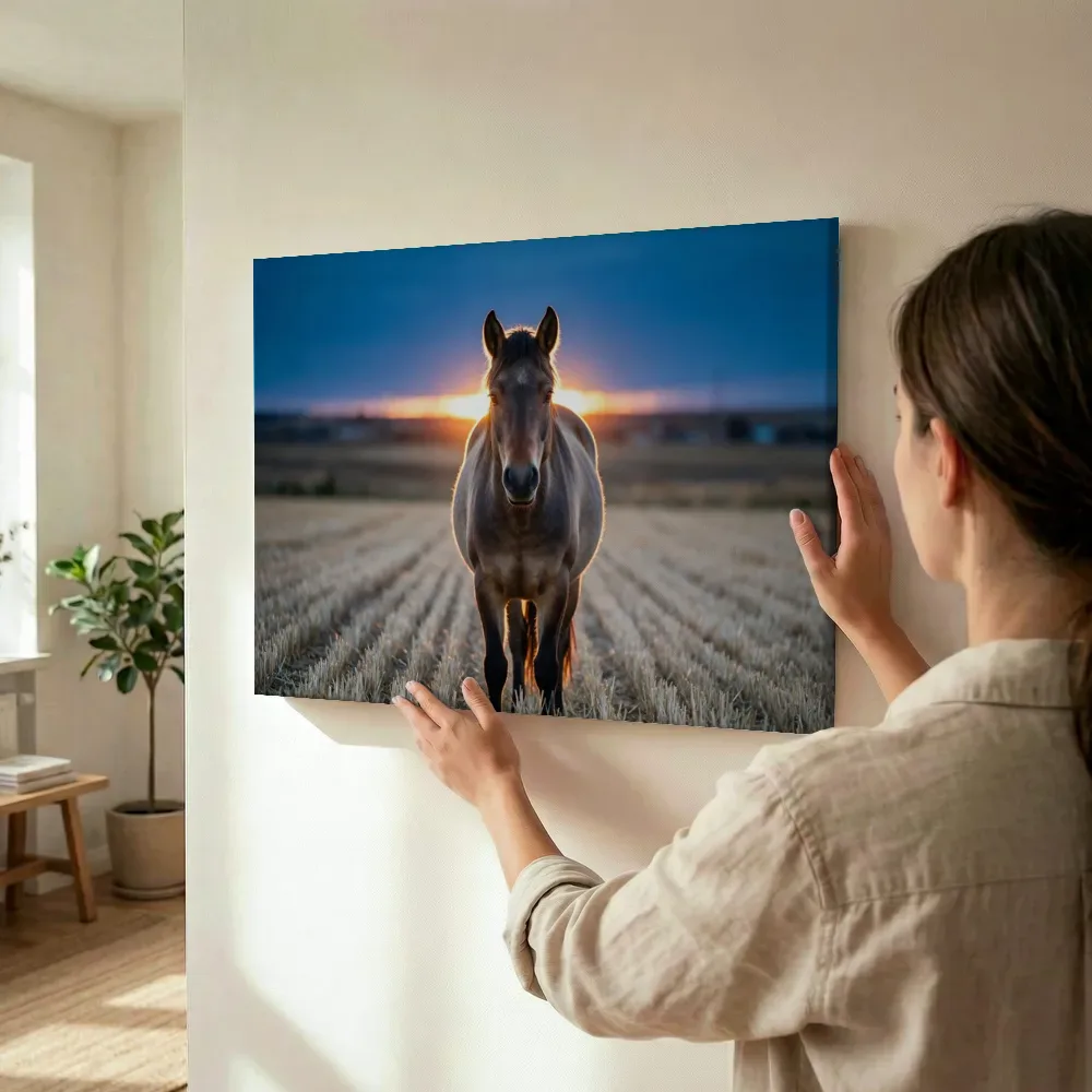 Sfeerimpressie: Paard recht in de lens, het felle tegenlicht van de ondergaande zon terwijl het wordt opgehangen