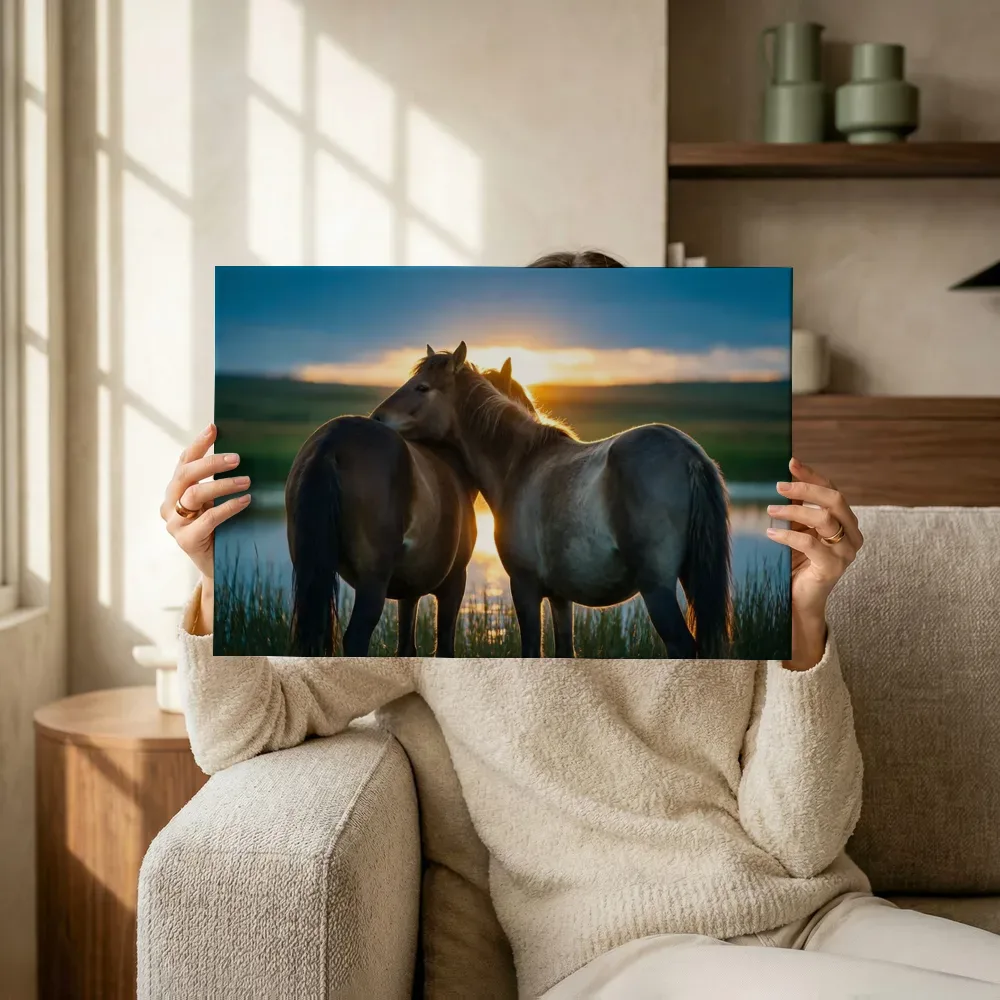 Sfeerimpressie: Paard samen, het felle tegenlicht van de ondergaande zon terwijl het omhoog wordt gehouden