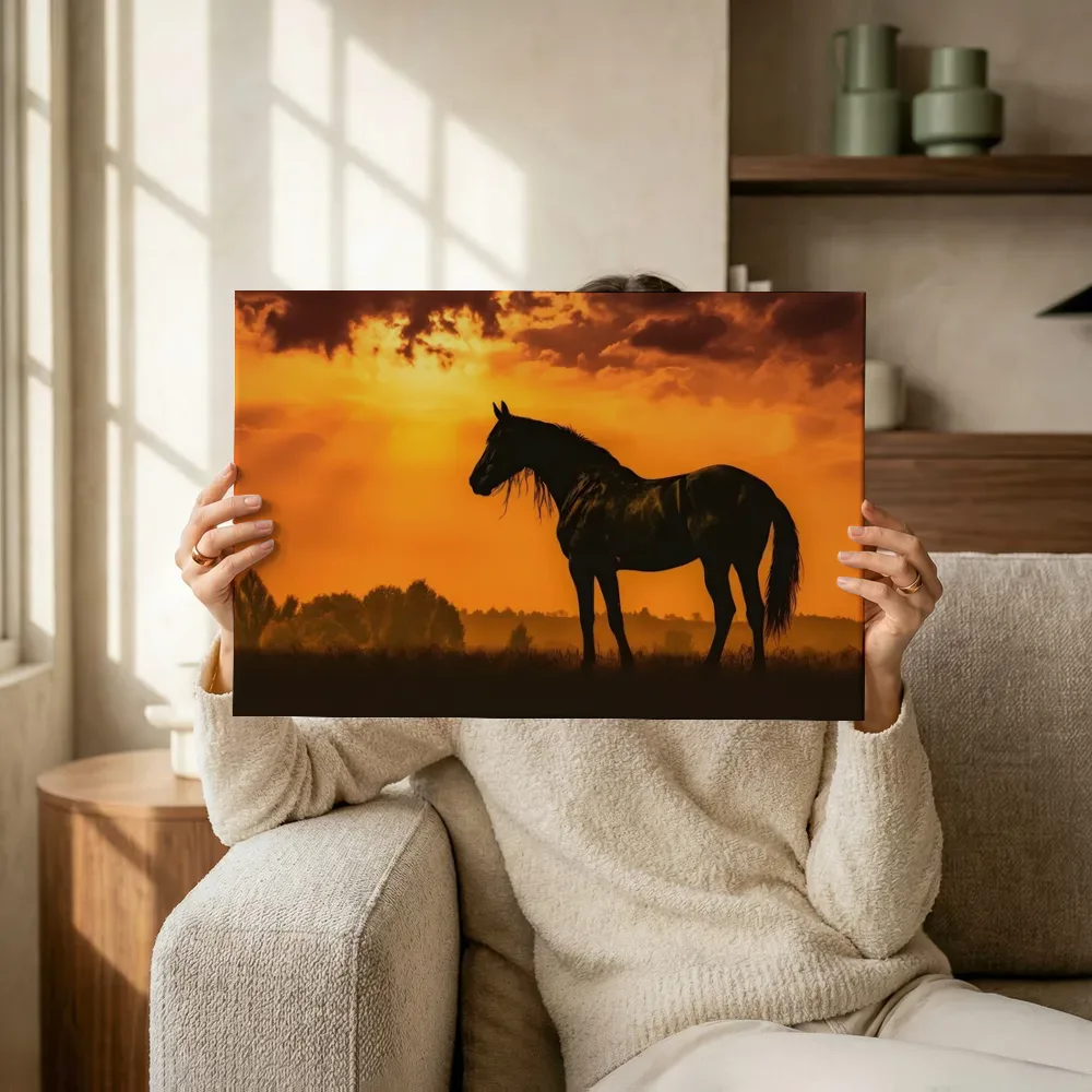 Sfeerimpressie: Paard silhouet bij zonsondergang terwijl het omhoog wordt gehouden