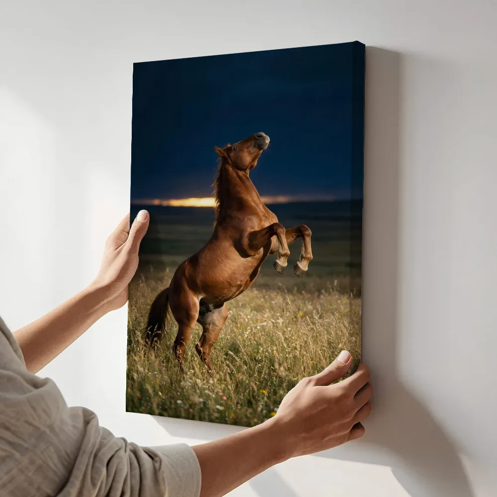 Sfeerimpressie: Paard steigerend, de laatste gloed vlak voor de nacht terwijl het aan de muur wordt gehangen