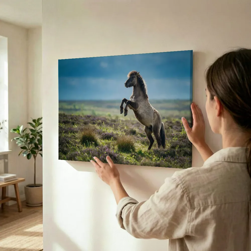 Sfeerimpressie: Paard steigerend, een fris lentemoment terwijl het wordt opgehangen