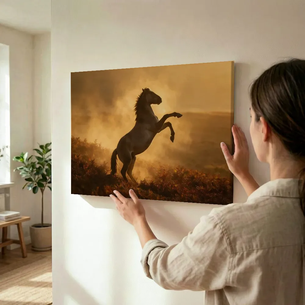 Sfeerimpressie: Paard steigerend, een gouden namiddagzon terwijl het wordt opgehangen