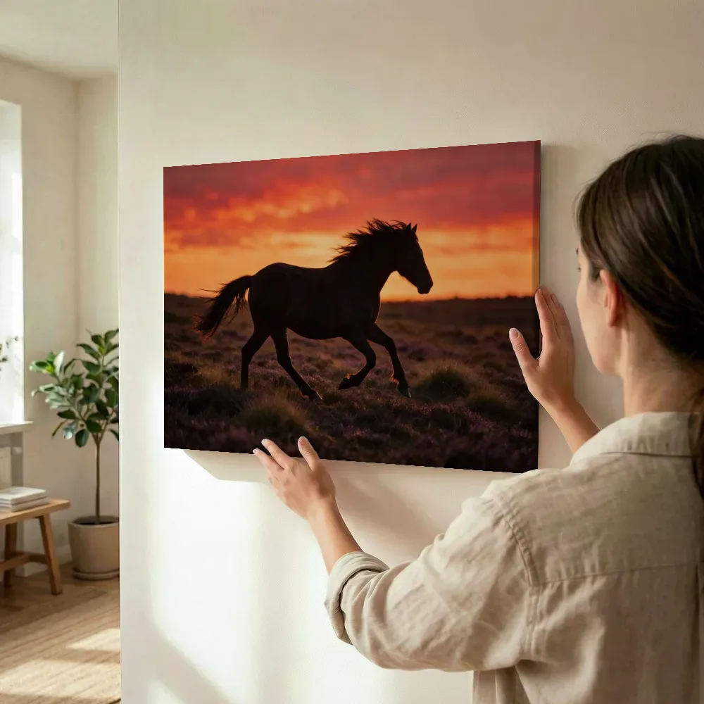 Sfeerimpressie: Paard steigerend, een silhouet tegen een vurige zonsondergang terwijl het wordt opgehangen